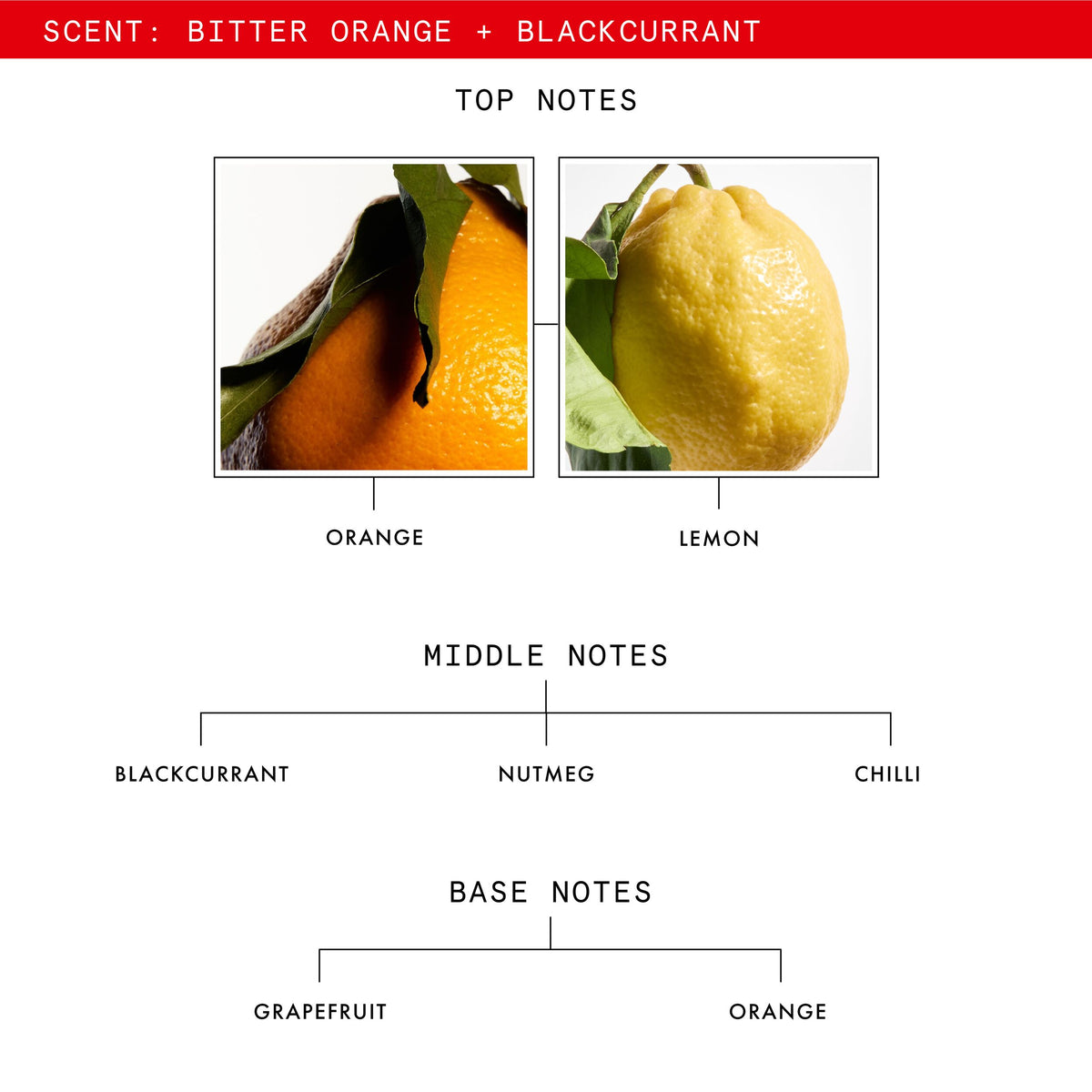 BITTER_ORANGE_BLACK_CURRANT_CANDLE_SKU_PDP_1X1_ECOM_NOTES_2025_WEB