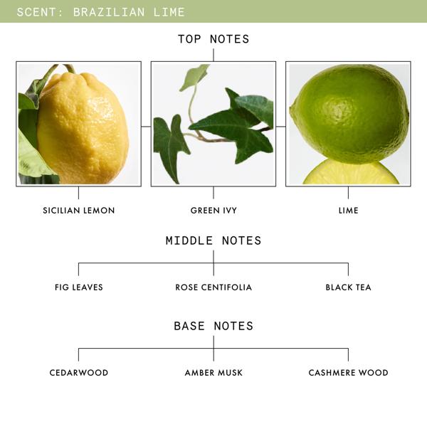 Brazilian Lime, Fig Leaves & Tea Eau De Parfum