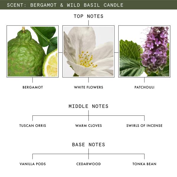 Bergamot_&_Wild_Basil_Candle_PDP_Ingredients_1x1_2025_Web