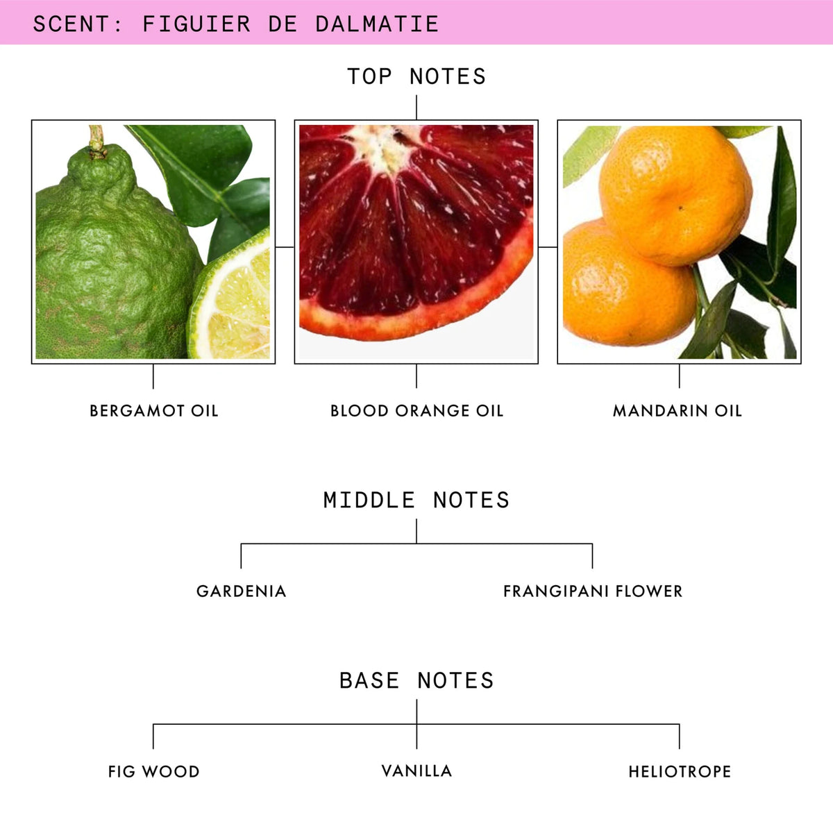 Figuier De Dalmatie Eau De Parfum