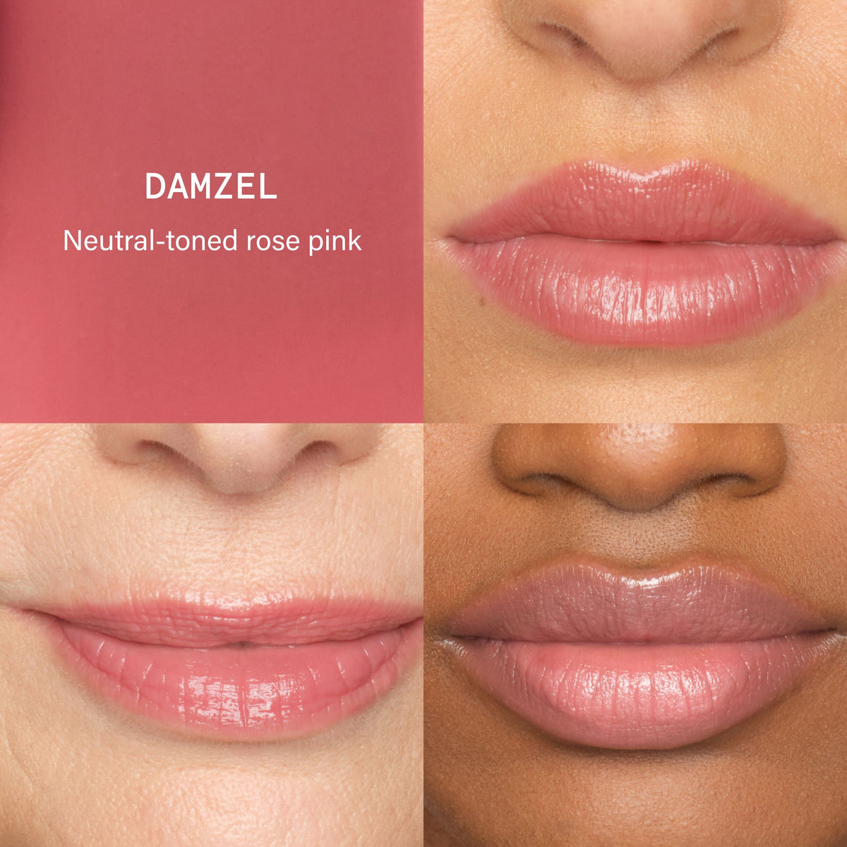 Damzel - SHADES