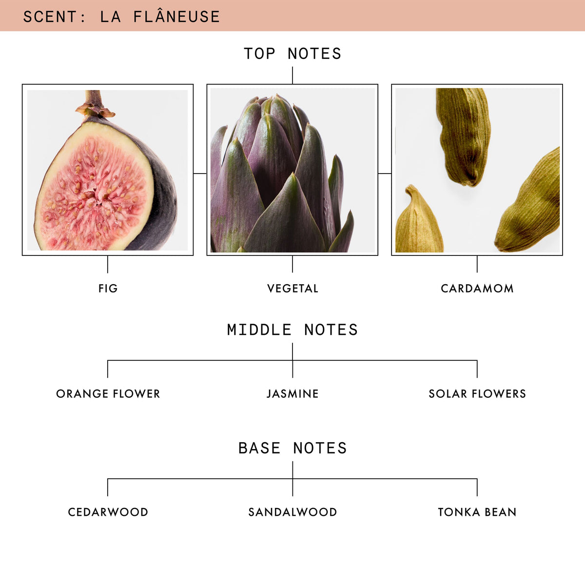 La Flaneuse Scent Notes