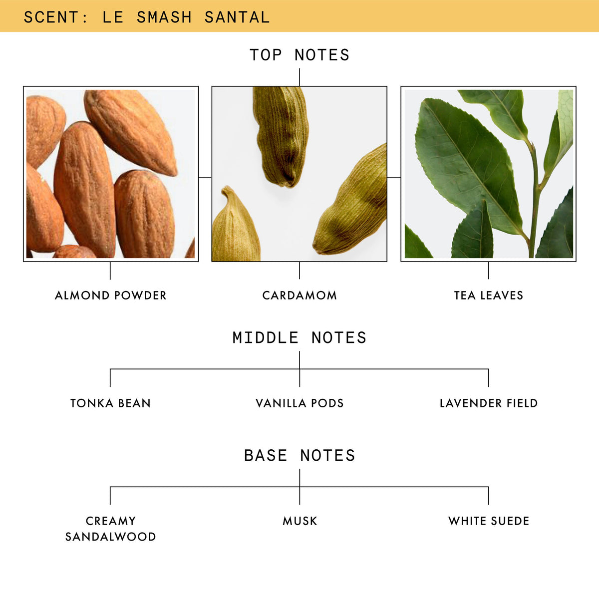Le Smash Santal Scent Notes