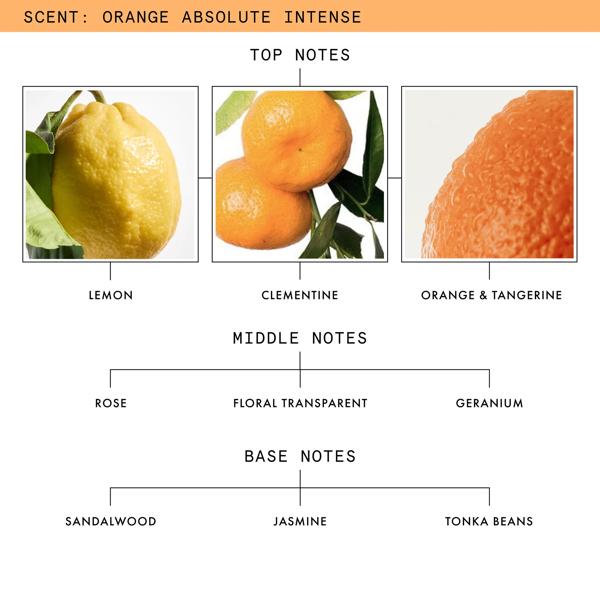 ORANGEABSOLUTE-DISCOVERYSET_SKU_PDP_1X1_ECOM_SCENTNOTES_2026_WEB