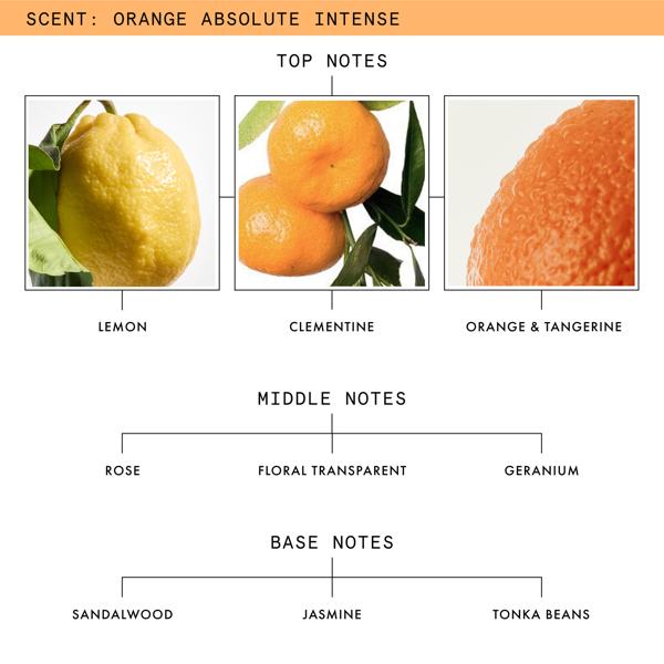 ORANGE_ABSOLUTE_INTENSE_SKU_PDP_1X1_ECOM_INGREDIENTS_2025_WEB