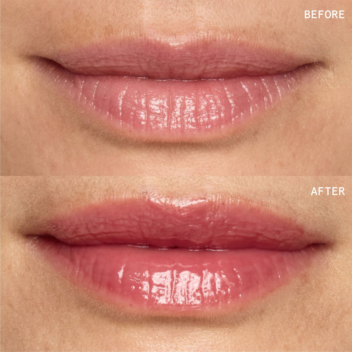 Wondergloss Collagen Lip Oil +