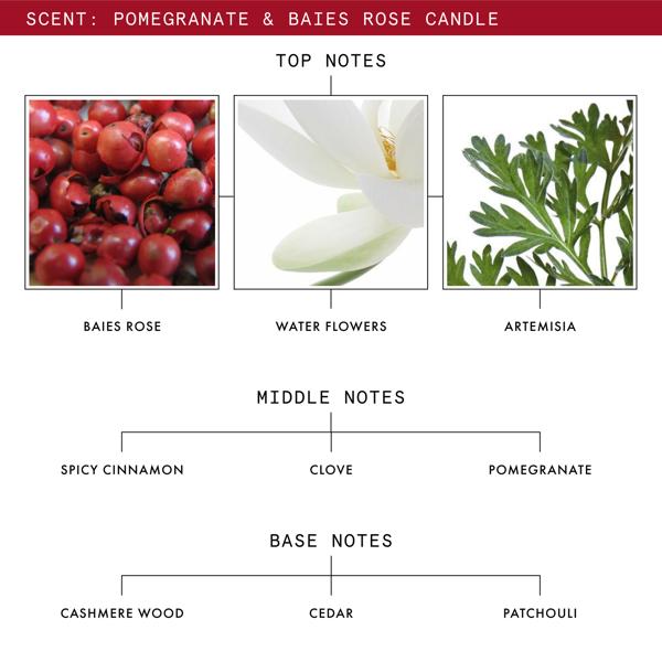 Pomegranate_&_Baies_Rose_Candle_PDP_Ingredients_1x1_2025_Web