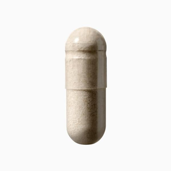 Supergut-Digestion-Formula-UK_SKU_PDP_1X1_ECOM_MACRO-TEXTURE_2025_WEB