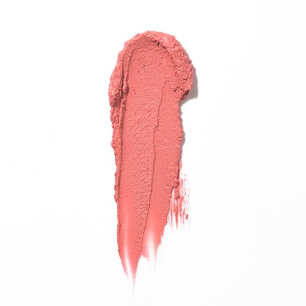 futurelipstick_matte_pink_dip_refill_72412_CSL_texture_1_WEB